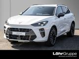 Cupra Terramar 2.0 TSI VZ 4Drive AHK/Pano - Cupra Terramar mit Anhängerkupplung