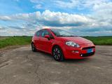 Fiat Punto 199 mit Klimaanlage - TÜV NEU -... - Fiat Punto: 199