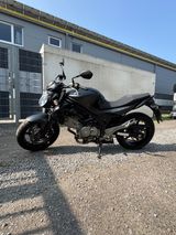Suzuki Gladius - Offers matching your search criteria