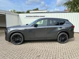Mazda CX-60 Homura Plus AWD Aut. - Gebrauchtwagen in Kreis Pinneberg