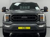 Ford F 150 5.0 V8 *SPORT*Longbed Leder LED Offroad - graue Ford F 150