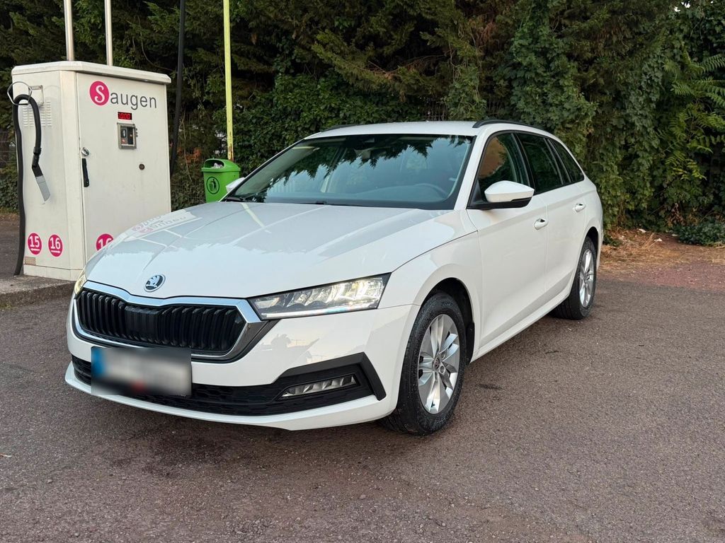 Image of Skoda Octavia