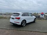 Audi SQ5 3.0 TDI competition tiptronic quattro - - Audi SQ5 in Köln
