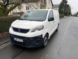 Peugeot Expert Pro Blue Hdi // L2,Klima,PDC,Tempomat,EU6 - Peugeot Expert von privat
