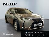 Lexus UX 250h Style Edition *Bi-LED*ACC*Kamera*SHZ*Car - Lexus mit Hybrid-Antrieb