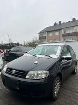 Fiat Punto Rest tüv - Fiat Punto Gebrauchtwagen in Köln