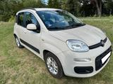 Fiat Panda 1,3 Easy 5 Sitzer mit LED & DAB - Fiat Panda von privat
