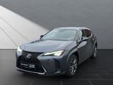 Lexus UX 250 h F SPORT - Lexus aus 2023