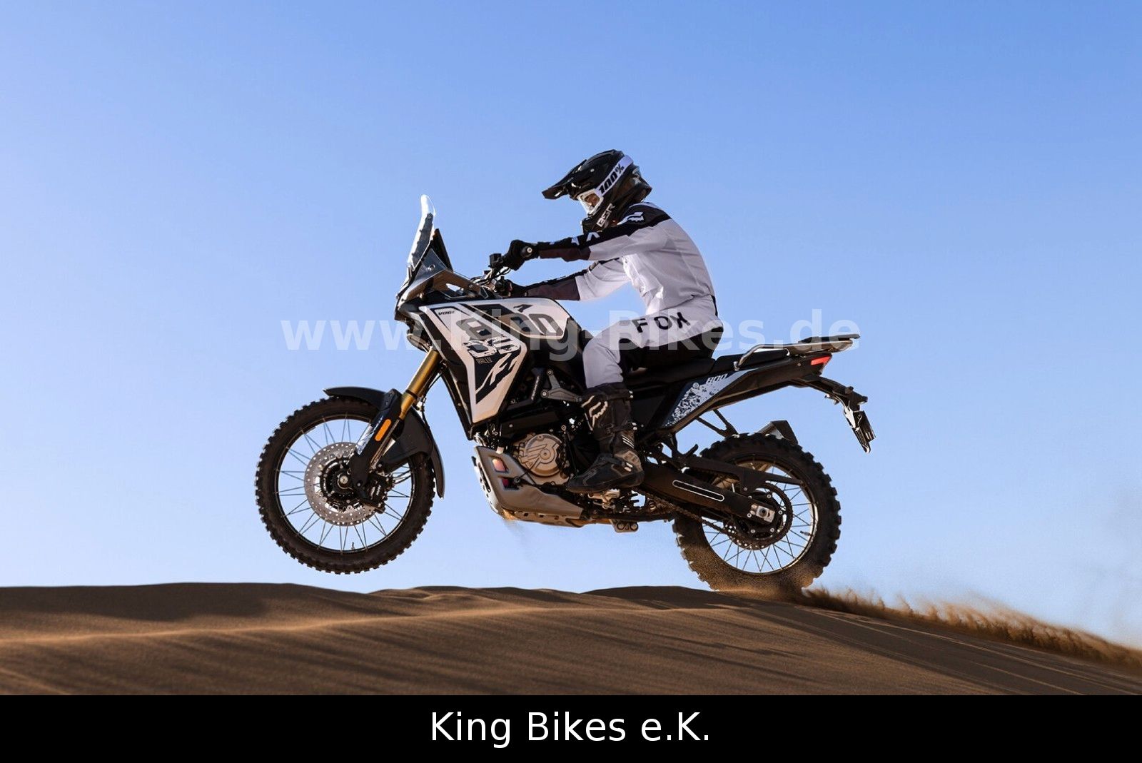 Fahrzeugabbildung VOGE 800 DS RALLY / DS800X RALLY - 3 Jahre Garantie