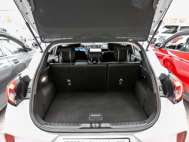 Ford Puma 1.0 Titanium Navi 360° Kamera Stauassistent