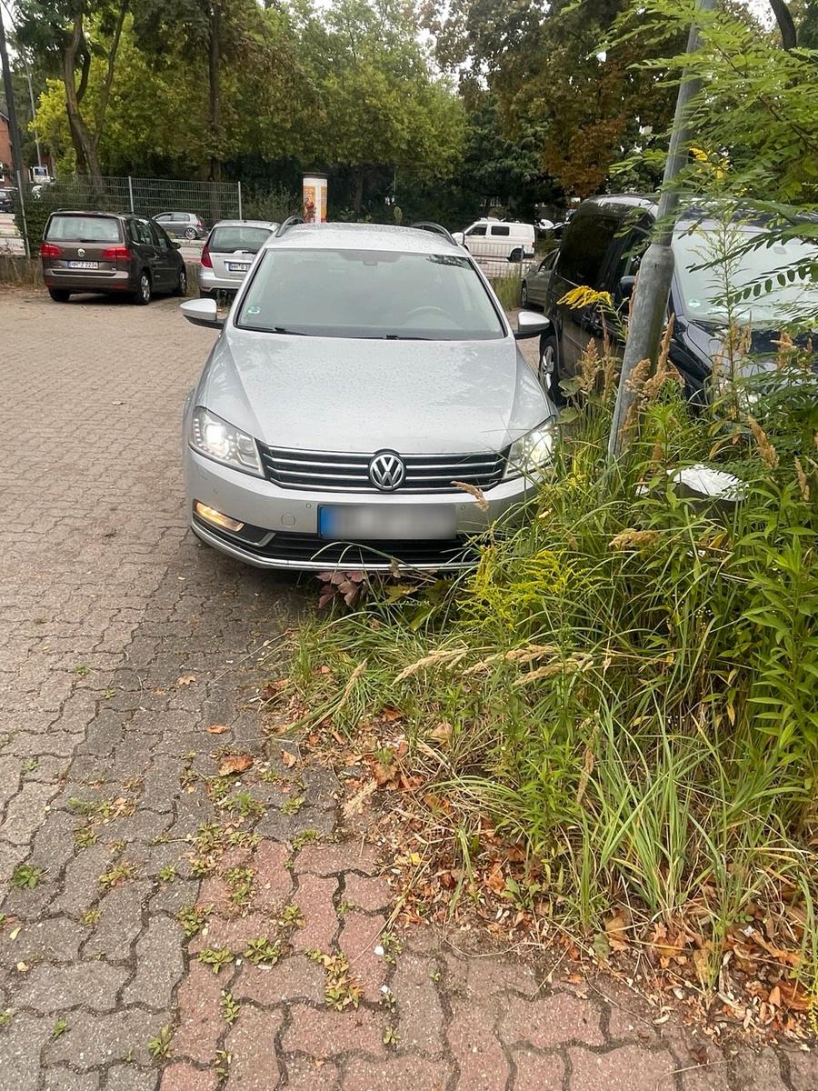 Volkswagen Passat 2014 — photo 9