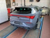 Cupra 