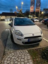 Fiat Punto young Service/Tüv neu, 8-Fach b... - Fiat Punto YOUNG mit Benzin-Antrieb