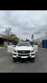 Mercedes-Benz ML 350 BlueTEC 4MATIC - - Mercedes-Benz ML 350 Gebrauchtwagen in Stuttgart