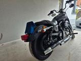Harley-Davidson Sportster 883 - Offers