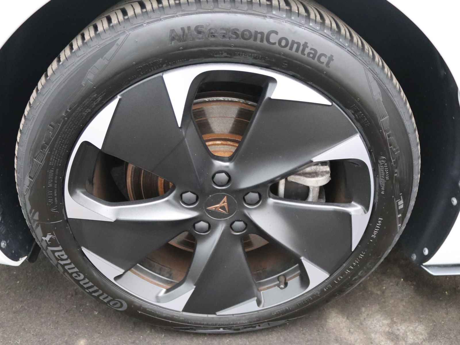 Cupra Born - Bild 17