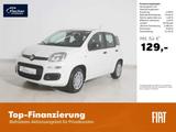 Fiat Panda 1.0 GSE Hybrid Pandina Icon - Fiat Panda Neuwagen mit Benzin-Antrieb