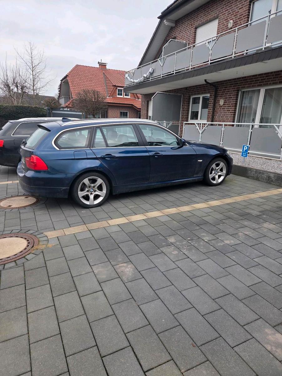 BMW 318 2011 — rear view