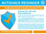Volkswagen Golf VIII 1.0 TSI United (LED,ACC,AppConnect,DAB - Volkswagen Golf: United