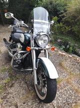 Suzuki VL800C - Offers matching your search criteria