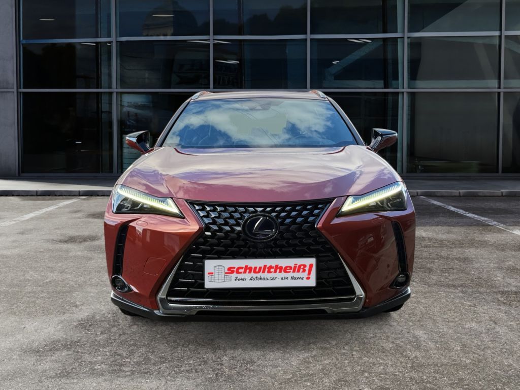 Fahrzeugabbildung Lexus UX 250h  (E-FOUR) Luxury Line