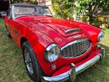 Austin Healey 3000 MK1 2+2 (BT7) - Austin Healey: Mk1