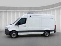 Autohaus Thorwesten Gebrauchtwagen