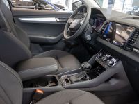 Skoda Karoq - Vorschau Bild 23