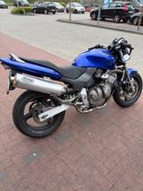Honda Cb 600f Hornet A2 gedrosselt  - HONDA 2001 HORNET 600