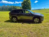 Toyota RAV 4 2.5 Hybrid Lounge Auto AWD Lounge - Toyota RAV 4: Leder, Allradantrieb