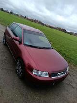 Audi A3 8l Facelift bis 22.03.2026 - Audi A3 aus 2003: 2.0