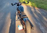Indian Scout Bobber Custom - INDIAN SCOUT BOBBER