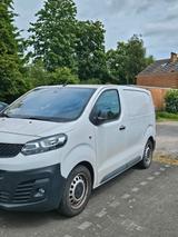 Fiat Scudo Transporter - Fiat: Transporter