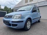 Fiat Panda 1.2 8V Dynamic - Fiat Panda Dynamic mit Benzin-Antrieb