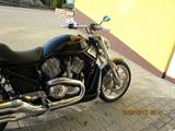 Harley-Davidson Street Rod - HARLEY-DAVIDSON STREET ROD
