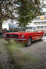 Ford Mustang Cabrio 1964 1/2 - gebrauchte Ford Mustang aus dem Jahr 1964