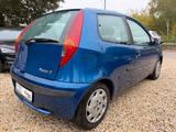 Fiat Punto 1.2 16V Automatik - Fiat Punto: 16v