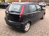 Fiat Punto 1.2 8V Start + TÜV bis 11/2025 - gebrauchte Fiat Punto aus dem Jahr 2006