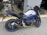 Suzuki SV650 - sehr guter Zustand + Zubehör