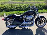 Harley-Davidson XL883L Sportster Super Low - HARLEY-DAVIDSON SPORTSTER 883 LOW