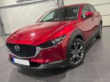 Mazda CX-30 2.0 AWD Automatik **Navi*Kamera*HUD - Mazda CX-3: Awd