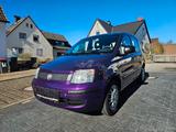 Fiat Panda - Fiat Panda Gebrauchtwagen in Dortmund