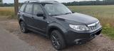 Subaru Forester 2.0X Edition Automatik Edition - Subaru Forester in Berlin