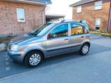 Fiat Panda 1.2 Dynamic/Klima/EZ 2011 - Fiat Panda in Kiel