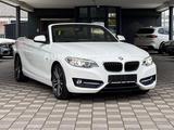 BMW 220i Cabrio Sport Line*Deutsch*Leder*Navi*Xenon* - BMW 220: D
