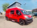 Roadcar R540 Aufstelldach  - Roadcar Wohnwagen & Wohnmobile