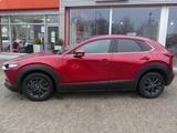 Mazda CX-30*Navi*LED*Fin. ab 149€ - rote Mazda CX-3
