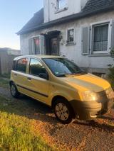 Fiat Panda - Fiat Panda Gebrauchtwagen in Krefeld