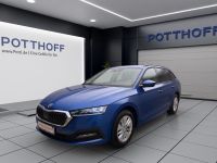 Skoda Octavia - Vorschau Bild 2
