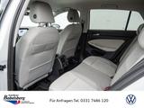 Volkswagen Golf VIII 1.5eTSI DSG STYLE LED NAV ACC RFK LED - VW Gebrauchtwagen